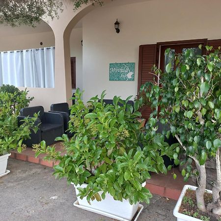 Mivida "Le Stanze Di Ada" Bed and Breakfast San Teodoro  Buitenkant foto