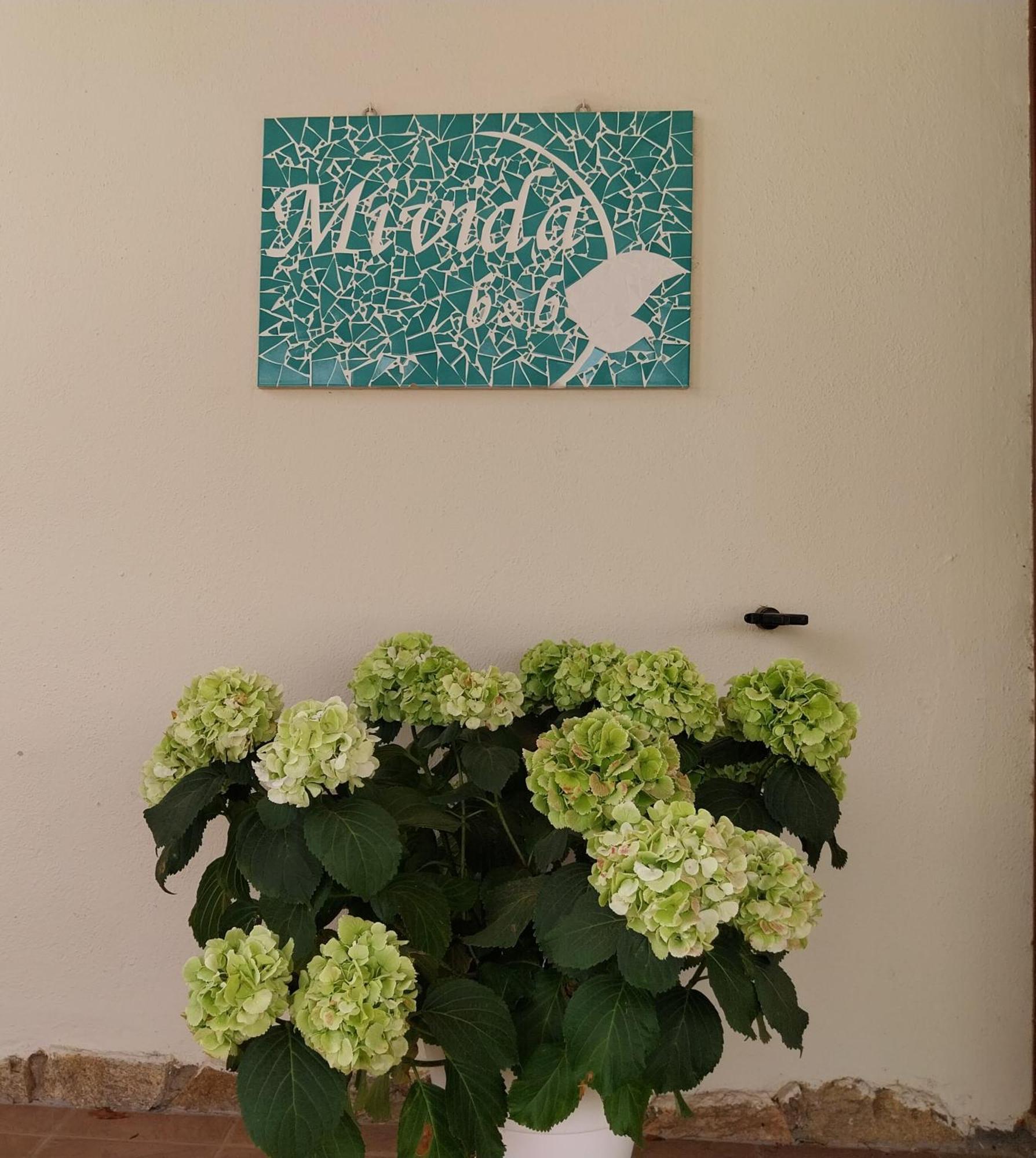 Mivida "Le Stanze Di Ada" Bed and Breakfast San Teodoro  Buitenkant foto
